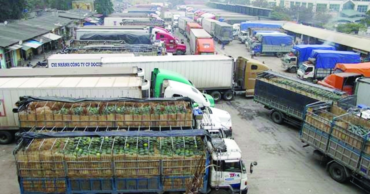 Hải quan nêu lý do 1.300 phương tiện chở hàng nhập khẩu ách tắc tại cửa khẩu trong một ngày