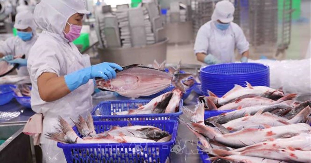 Xuất khẩu thủy sản khởi sắc tháng đầu năm, châu Á là động lực chính