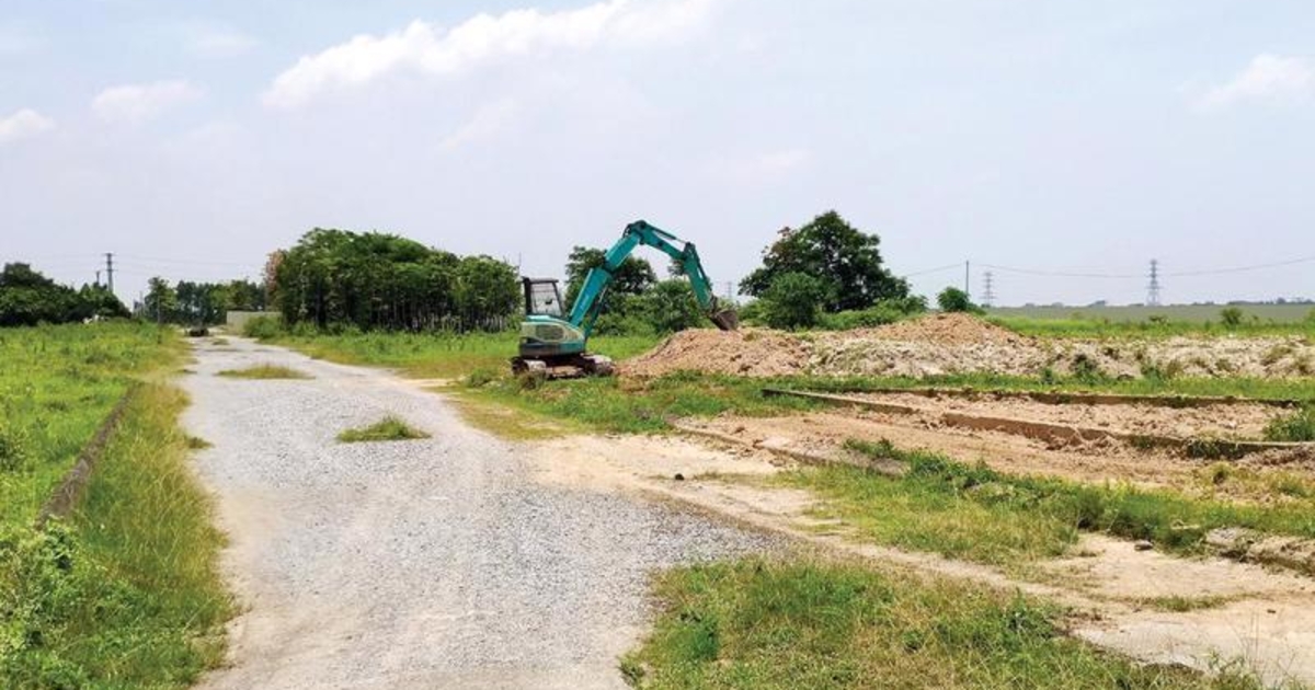 Thành lập đường dây nóng tiếp nhận phản ánh vi phạm về đất đai