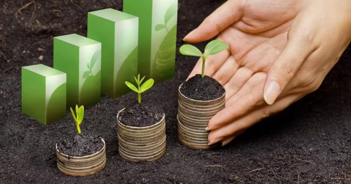 Đầu tư chuyển đổi xanh là khoản đầu tư cho tương lai