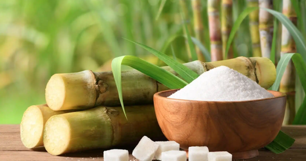Nghịch lý thị trường đường: Giá thế giới tăng, Việt Nam giảm